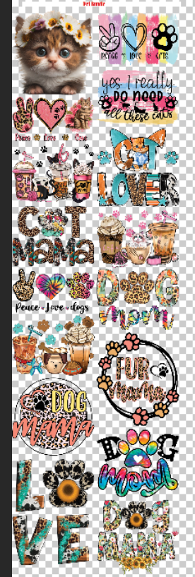 PET BUNDLE